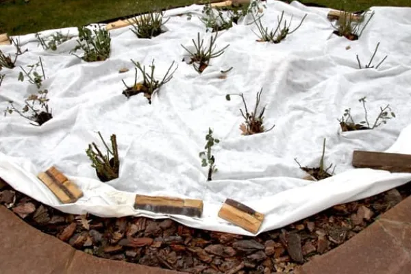 Outlet 400 m² Havefleece Ukrudtsbekæmpelsesstof Drænfleece 150 g 1 m bred Haveduge