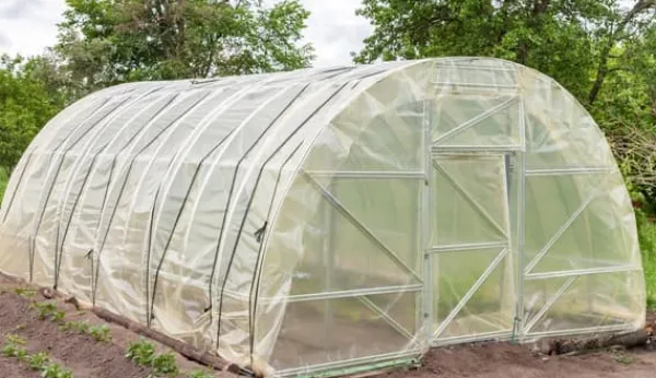 Clearance 4 m Haveliner Drivhusliner UV 5 Cold frame liner Drivhusliner 8 m bred Drivhus