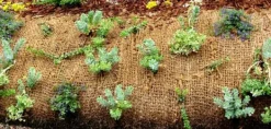 Haveduge^175 m hældningsmåtte kokos 1 m bred damforing Coir stof 750 g