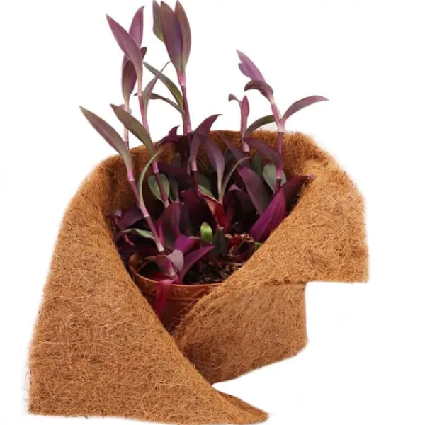 6 m Kokosfibermåtte Vinterbeskyttelse Skråmåtte Kokosfibermåtte 800 g/m² 0,75 m bred Haveduge