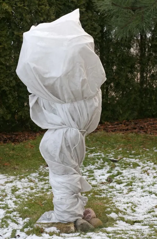 Sale 120 m² Vinterbeskyttelsesfleece Isolerende havefleece Frostbeskyttelse 80 g 1,6 m bred Haveduge