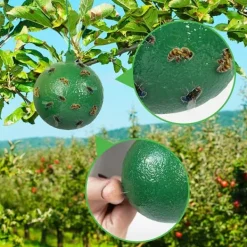 Sale 10 st fruktflugfälla med klibbig knottdödare fruktflugfällor Effektiv flugfångare Insektsfälla för inomhus utomhuskök Skadedyrsfælder