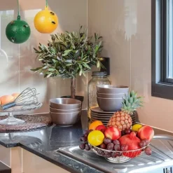 Sale 10 st fruktflugfälla med klibbig knottdödare fruktflugfällor Effektiv flugfångare Insektsfälla för inomhus utomhuskök Skadedyrsfælder