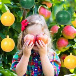 Sale 10 st fruktflugfälla med klibbig knottdödare fruktflugfällor Effektiv flugfångare Insektsfälla för inomhus utomhuskök Skadedyrsfælder