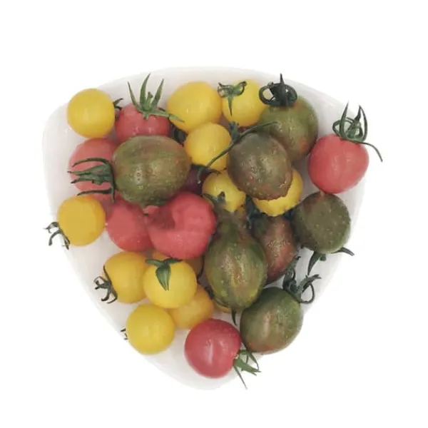 Hot 100 st läckra tomatfrön Produktiva grönsaksträdgårdsfrön för plantering utomhus Frø