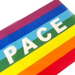 Flag & Vindposer^50/100 st Mini Peace Flag Rainbow Pacifist Flag Handhållen Polyester Peace Flagga