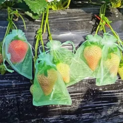 Outlet 30 stk. 20*30 cm frugtposer med snøre, genanvendelige haveposer, frugtposer, velegnede til frugttræer, grøntsager og blomster Havekurve