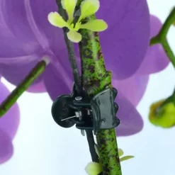 Online 100 stk Haveklemmeplante Orchid Flower Fiksering Plantestøtte Krukker & Plantebeholdere