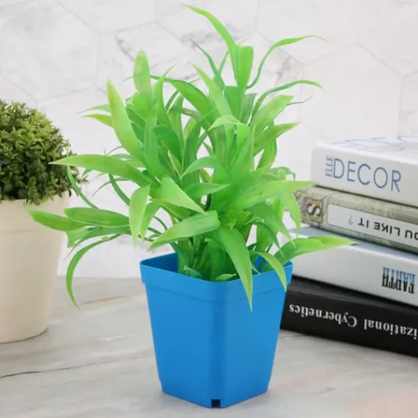 Krukker & Plantebeholdere^20 stk. mini moderne sukkulentplantepotter små plastikbeholdere, firkantede skrubbepotter (blå)