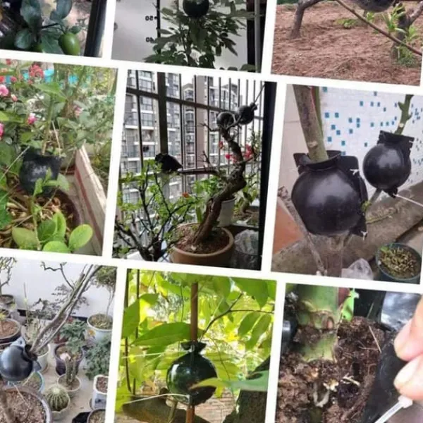 Kit Til Plante- & Urtedyrkning^3 stk. planterodningskugletransplantatrodningskasse avlskasse til haveplanter