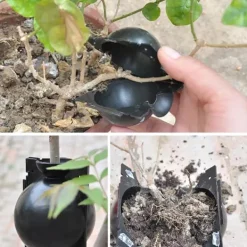 Kit Til Plante- & Urtedyrkning^3 stk. planterodningskugletransplantatrodningskasse avlskasse til haveplanter