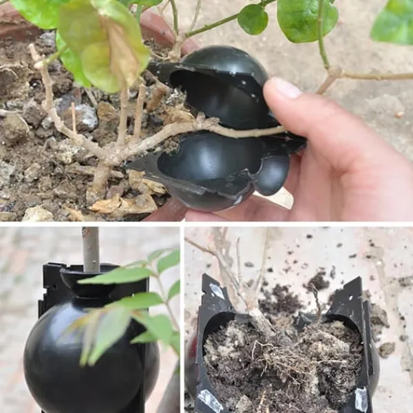 Kit Til Plante- & Urtedyrkning^3 stk. planterodningskugletransplantatrodningskasse avlskasse til haveplanter