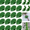 Krukker & Plantebeholdere^50 stk. vægklemmer til klatreplanter, plantestativer, selvklæbende vægklemmer