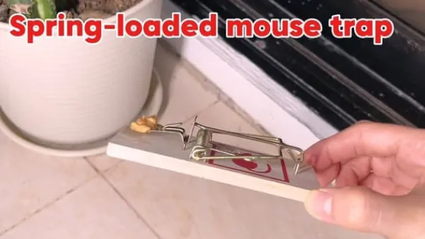 Skadedyrsfælder^4 Wooden Mouse Traps Traditional Mice Rodent Pest Control Trap Reusable Durable