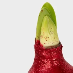 Amaryllis - Sæt med 3 - Hippeastrum 'Glitter Mix' - Røde blomster Frø