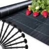 Viking Choice Haveduge^Anti-roddug - Agrotekstil - 1,1 x 50 m - 50 jordstifter