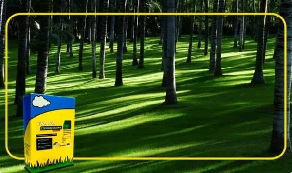 Frø^ARPON PARKGRÆS 1 KG
