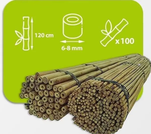 Online Bambusstænger 120 cm 6/8 mm /100 stk/ Krukker & Plantebeholdere