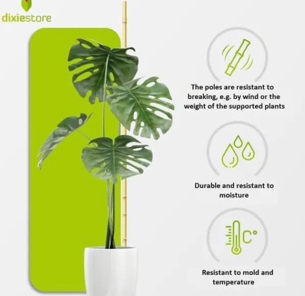 Discount Bambusstænger 180 cm 20/22 mm 50 stk/ Krukker & Plantebeholdere