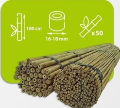 Outlet Bambusstænger 180 cm 16/18 mm 50 stk/ Krukker & Plantebeholdere