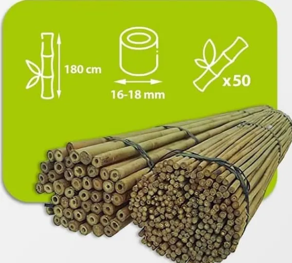 Outlet Bambusstænger 180 cm 16/18 mm 50 stk/ Krukker & Plantebeholdere