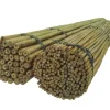Best Bambusstænger 45 cm 6/8 mm /25 stk/ Krukker & Plantebeholdere
