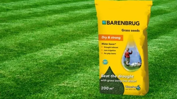 Online Barenbrug græs VANDBESPARENDE 1 KG INGEN VANDNING LAKRET FRØ Frø