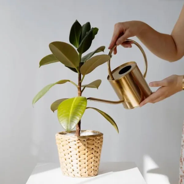Gødningsmidler^BIOHUMUS GØDNING 0,5L UNIVERSAL AGRECOL