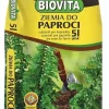 BIOVITA BREGNESUBSTRAT 5L Jord & Sand