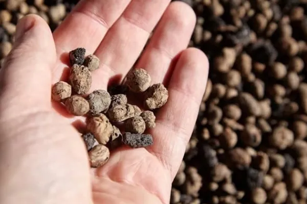 Outlet BIOVITA GARDENING EKSPANDERET LER ideel til dræning 8-16MM 2L Jord & Sand