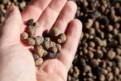 Jord & Sand^BIOVITA GARDENING EKSPANDERET DRUEVÆSKE ideel til dræning 8-16MM 5L