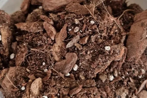 Jord & Sand^BIOVITA ORKIDÉSUBSTRAT 3L