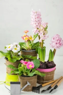 Jord & Sand^BIOVITA UNIVERSAL BLOMSTERJORD MED OSMOVIT 5L