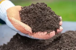 Discount BIOVITA UNIVERSAL BLOMSTERJORD 10 LITER MED GØDNING Jord & Sand