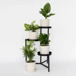 Krukkeplanter Indendørs^Blanding af stueplanter - Sæt med 4 - Højde 25-40cm - ⌀12cm