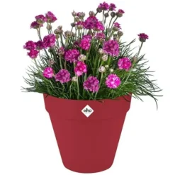 Krukker & Plantebeholdere^Blomkruka - Elho - Loft Urban Round - Hjul 50 - Röd - L 49 x B 48,5 x H 45 cm - Utomhus - 100% återvunnen