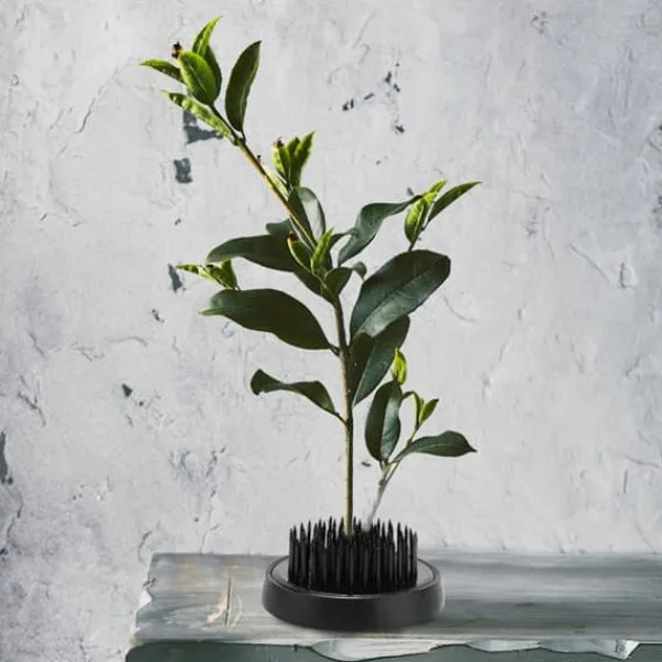 Discount Blomsterarrangeringsværktøj Sort Rund Ikebana Kenzan Plumbum Nåle Blomsternålholder (46 mm) Nyplukkede Blomster