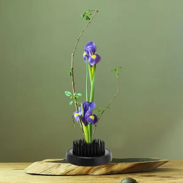 Discount Blomsterarrangeringsværktøj Sort Rund Ikebana Kenzan Plumbum Nåle Blomsternålholder (46 mm) Nyplukkede Blomster