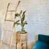 Outlet BLOMSTERBED POLLIE S NATURLIG Plantestativer