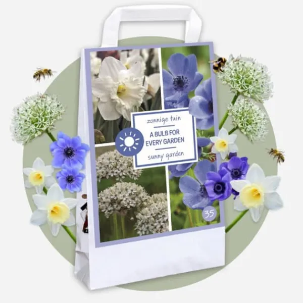 Best Blomsterløg - 35 stk - Sunny Garden Box - Anemone, Allium, Påskelilje Frø
