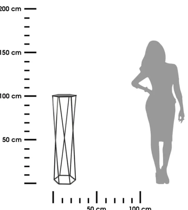 Plantestativer^Blomsterstander til planter sort 100 cm