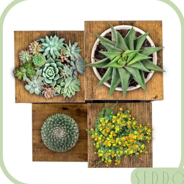 Online Blomsterstativ, hylde til blomster, planter, potter, fritstående, 4 hylder, loft Plantestativer