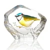 Clearance Blue Tit - Målerås Til Fugle & Småvildt