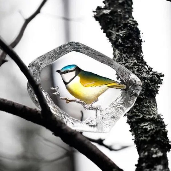 Clearance Blue Tit - Målerås Til Fugle & Småvildt