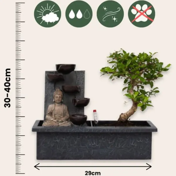 Springvand & Damme^Bonsai med vattenfal - Bonsai - Højde 25-35cm - ⌀29cm
