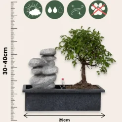 Krukkeplanter Indendørs^Bonsai træ med vandfald - Bonsai - Højde 25-35cm - ⌀29cm