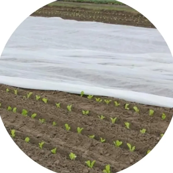 Haveduge^Bradas agrotekstil 320x1000cm 17 g/m² AWW1732010