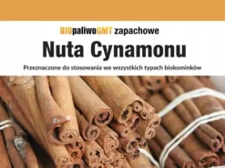Tilbehør Til Brændeovne & Pejse^Brændstof til biopejse BIOfuel GMT Bioethanol Cinnamon Note 1L
