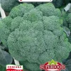 Frø^Broccoli Sebastian frø 2 g PlantiCo