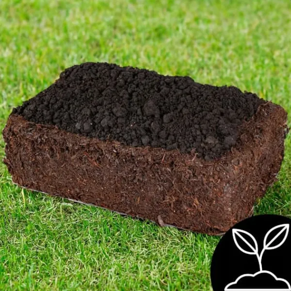 Online Brun svampemycelium 30 kg stort dyrkningssæt Instruktioner + Gratis Kit Til Plante- & Urtedyrkning